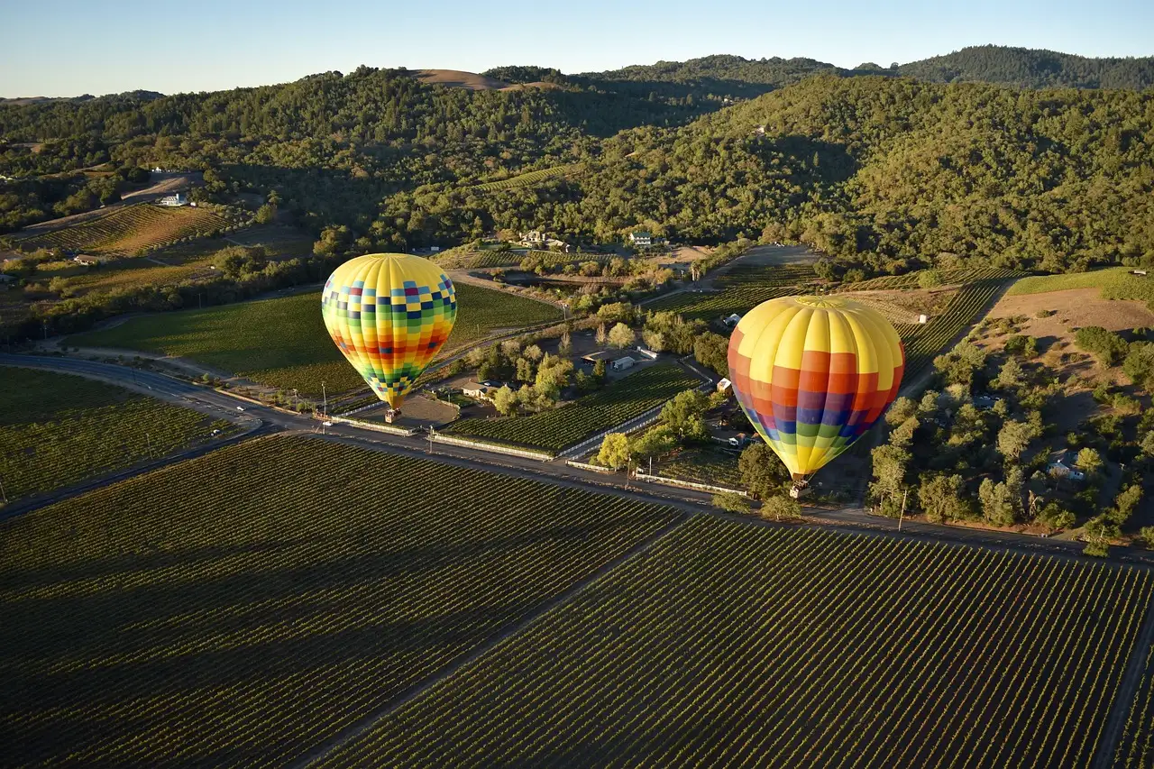 Two hot air balloons drifting low over vineyards and farmland