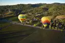 Two hot air balloons low over vineyard rows in wine country
