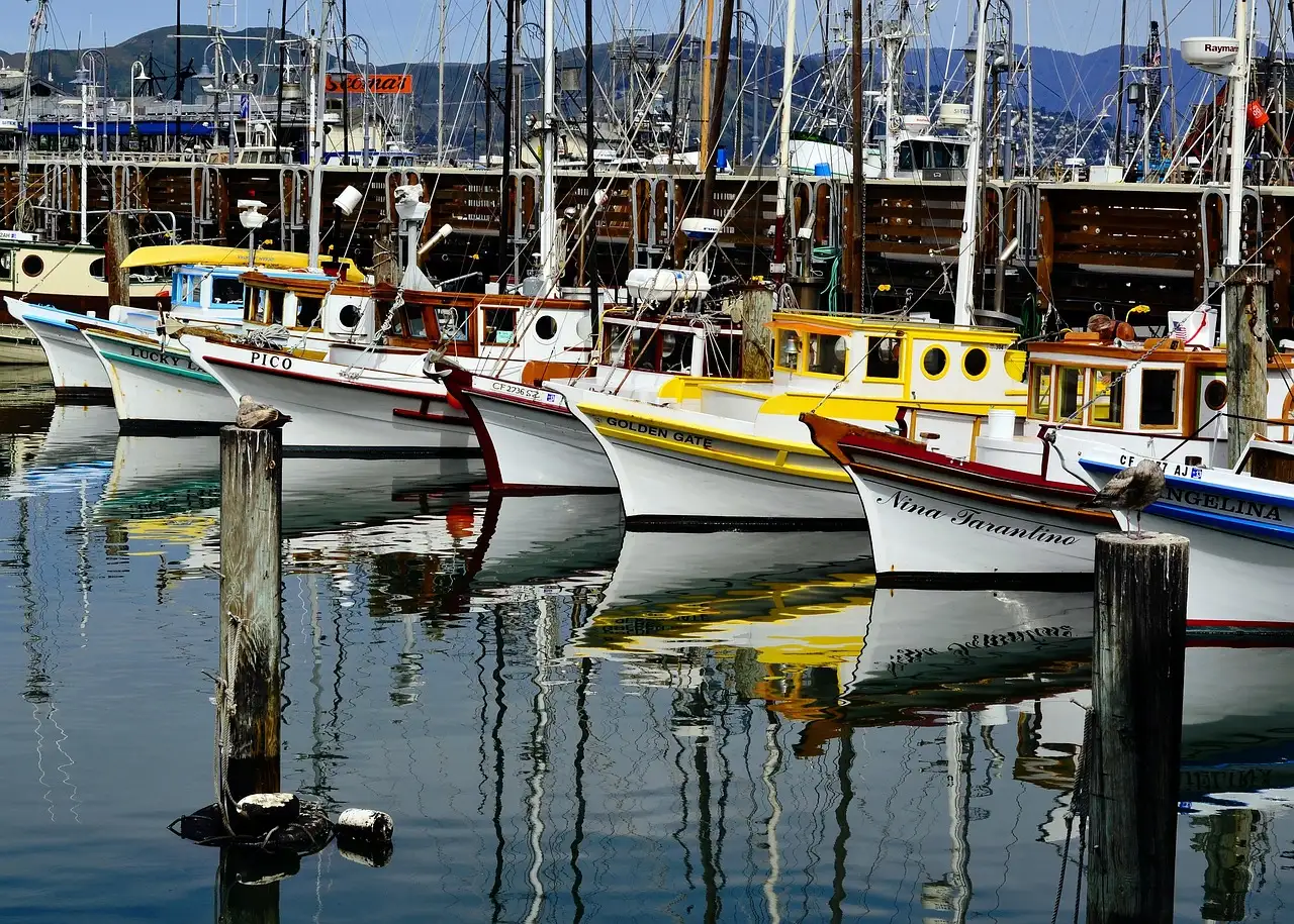 Fishing boats moored in the harbour at Fisherman's Wharf