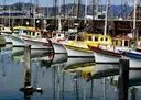 Fishing boats moored in the harbour at Fisherman's Wharf