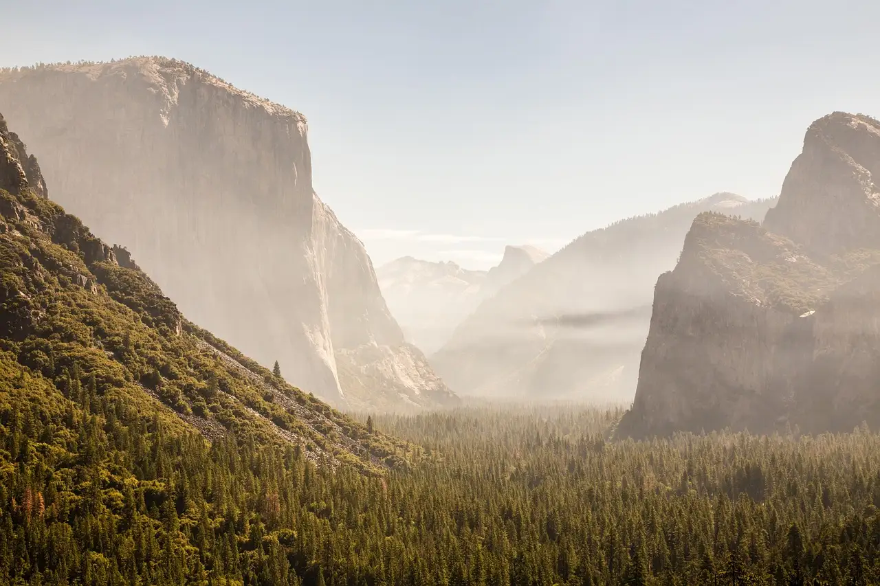 Yosemite Valley with El Capitan rising above the forest in soft morning light