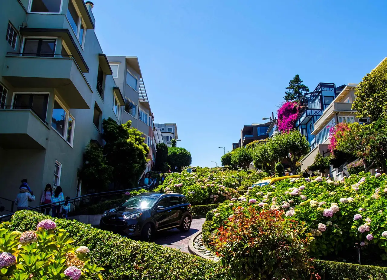 Cars on the curves of Lombard Street between hydrangeas