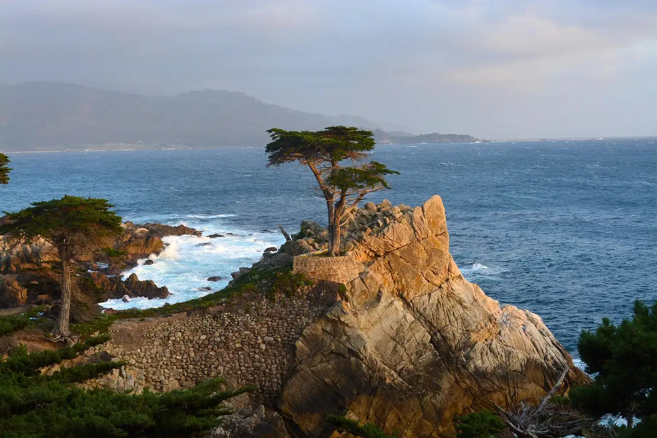 The Lone Cypress on the Monterey Peninsula coast, with the ocean behind