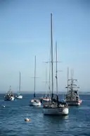 Sailboats at anchor in Monterey harbour