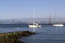 Sailboats and a tall ship off the Sausalito shore, with the San Francisco skyline across the bay