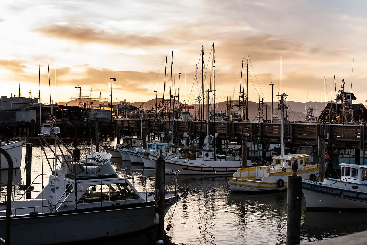 Sailboats moored in San Francisco at sunset