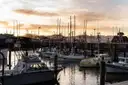 Sailboats moored in San Francisco at sunset