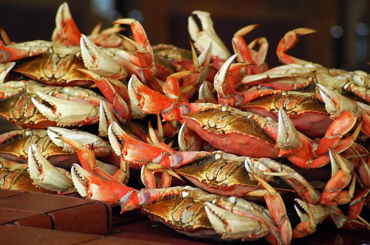 A pile of cooked Dungeness crabs, the local seafood of San Francisco
