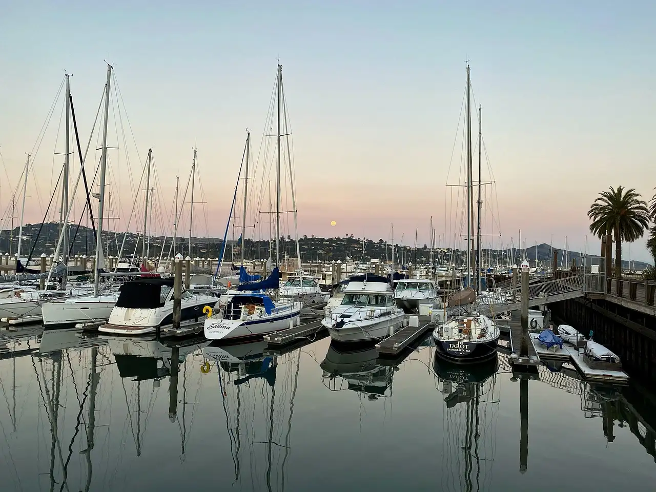 Sailboats in Sausalito harbour in evening light