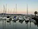 Sailboats in Sausalito harbour in evening light