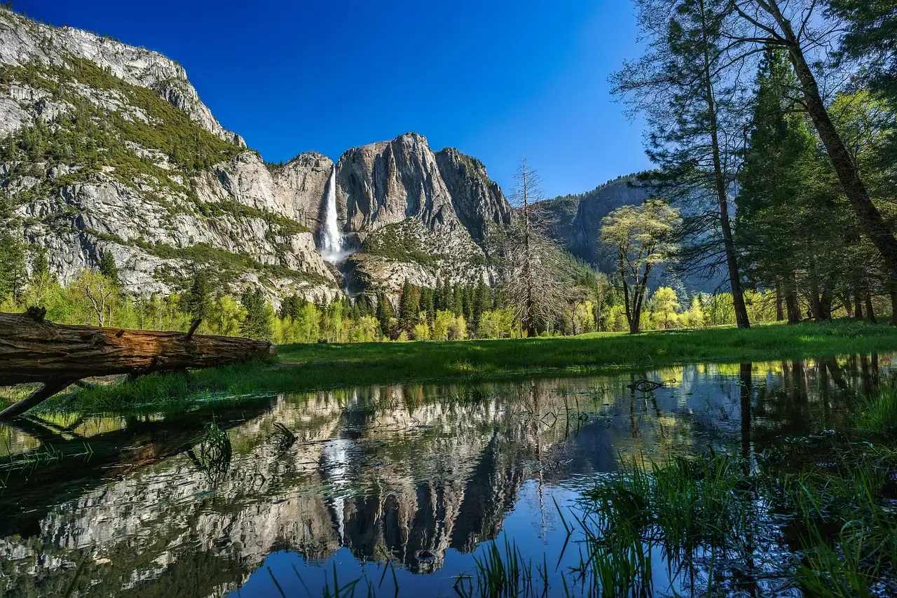 Yosemite Falls reflected in a meadow pond